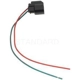 Purchase Top-Quality Hood Ajar Indicator Switch Connector by BLUE STREAK (HYGRADE MOTOR) - S799 pa21
