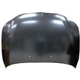 Purchase Top-Quality Hood - BM1230116 pa1