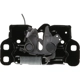 Purchase Top-Quality Hood Latch by BLUE STREAK (HYGRADE MOTOR) - DLA2074 pa1