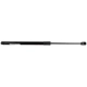 Purchase Top-Quality Hood Lift Assembly by SHERMAN PARTS - CH150019-900U pa1