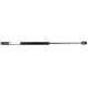 Purchase Top-Quality Hood Lift Assembly by SHERMAN PARTS - FOF25017-900R pa1