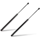 Purchase Top-Quality Hood Lift Assembly by SHERMAN PARTS - NIARMA17-900-1 pa1