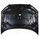 Purchase Top-Quality Hood Panel Assembly - AU1230115 pa9