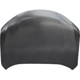 Purchase Top-Quality Hood Panel Assembly - NI1230197 pa2