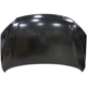 Purchase Top-Quality Hood Panel Assembly - NI1230217 pa1