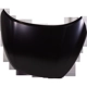 Purchase Top-Quality Hood Panel Assembly - NI1230220 pa9