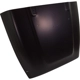 Purchase Top-Quality Hood Panel Assembly by SHERMAN PARTS - 022-28-1 pa2