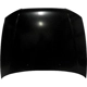 Purchase Top-Quality Hood Panel Assembly by SHERMAN PARTS - 3192-28-0 pa1