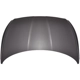 Purchase Top-Quality SHERMAN PARTS - 3192AA-28Q-0 - Hood Panel pa1
