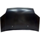 Purchase Top-Quality SHERMAN PARTS - 568-28QU - Hood Panel pa1