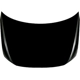 Purchase Top-Quality SHERMAN PARTS - VWTIGU18-28Q-0 - Hood Panel pa1