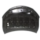 Purchase Top-Quality Hood Panel Assembly - TO1230234 pa2