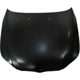 Purchase Top-Quality Hood Panel Assembly - BM1230116 pa1