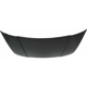 Purchase Top-Quality Hood Panel Assembly - FO1230202 pa3