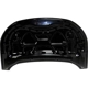 Purchase Top-Quality Hood Panel Assembly - FO1230311 pa3