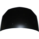 Purchase Top-Quality Hood Panel Assembly - GM1230356C pa1