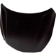 Purchase Top-Quality Hood Panel Assembly - GM1230410 pa4