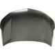 Purchase Top-Quality Hood Panel Assembly - GM1230466 pa1