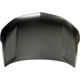 Purchase Top-Quality Hood Panel Assembly - GM1230466C pa1