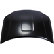 Purchase Top-Quality Hood Panel Assembly - GM1230468C pa2