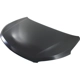 Purchase Top-Quality Hood Panel Assembly - HY1230157C pa2