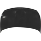 Purchase Top-Quality Hood Panel Assembly - NI1230166C pa1
