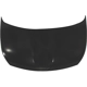 Purchase Top-Quality Hood Panel Assembly - NI1230166C pa2