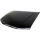 Purchase Top-Quality Hood Panel Assembly - NI1230170 pa3