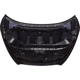 Purchase Top-Quality Hood Panel Assembly - NI1230220C pa4