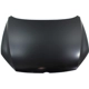 Purchase Top-Quality Hood Panel Assembly - VW1230144C pa2