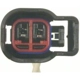 Purchase Top-Quality Horn Connector by BLUE STREAK (HYGRADE MOTOR) - S1537 pa1