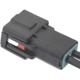 Purchase Top-Quality STANDARD - PRO SERIES - S2161 - Brake Pressure Switch Connector pa2