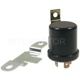Purchase Top-Quality Horn Relay by BLUE STREAK (HYGRADE MOTOR) - RY763 pa4