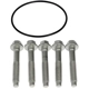 Purchase Top-Quality DORMAN (OE SOLUTIONS) - 926127 - Hub Bolts pa11