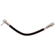 Purchase Top-Quality RAYBESTOS - BH384286 - Clutch Hydraulic Hose pa1