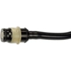Purchase Top-Quality DORMAN (OE SOLUTIONS) - 628-203 - Hydraulic Clutch Line pa6