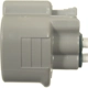 Purchase Top-Quality Idle Air Control Valve Connector (Fuel Injected) by BLUE STREAK (HYGRADE MOTOR) - S1423 pa2