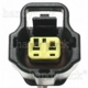 Purchase Top-Quality Idle Air Control Valve Connector (Fuel Injected) by BLUE STREAK (HYGRADE MOTOR) - HP4215 pa13