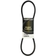 Purchase Top-Quality Idler And Water Pump Belt by DAYCO - 17343 pa14