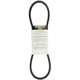 Purchase Top-Quality Idler And Water Pump Belt by DAYCO - 17343 pa15