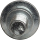 Purchase Top-Quality Idler Mounting Bolt by FOUR SEASONS - 45920 pa12