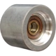 Purchase Top-Quality Idler Or Tensioner Pulley by DAYCO - 89110 pa1