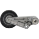 Purchase Top-Quality Idler Or Tensioner Pulley by FOUR SEASONS - 45049 pa13