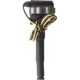 Purchase Top-Quality Ignition Coil by DELPHI - GN10890 pa3