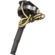 Purchase Top-Quality Ignition Coil by DELPHI - GN10890 pa4