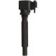 Purchase Top-Quality DELPHI - GN10955 - Ignition Coil pa2