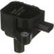 Purchase Top-Quality DELPHI - GN11123 - Ignition Coil pa1