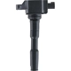 Purchase Top-Quality Ignition Coil by DELPHI - GN11148 pa5