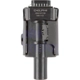Purchase Top-Quality Ignition Coil by DELPHI - GN10119 pa58