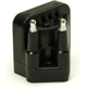 Purchase Top-Quality DELPHI - GN10123 - Ignition Coil pa18